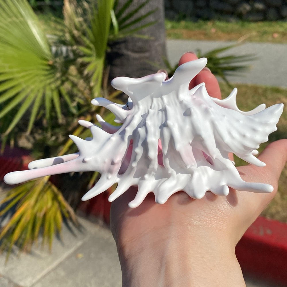 YVMIN Conch Hair Claw White/ pink